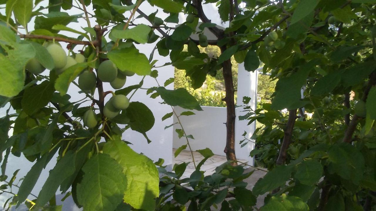Kuca Za Odmor Maka Villa Kucice Exterior photo