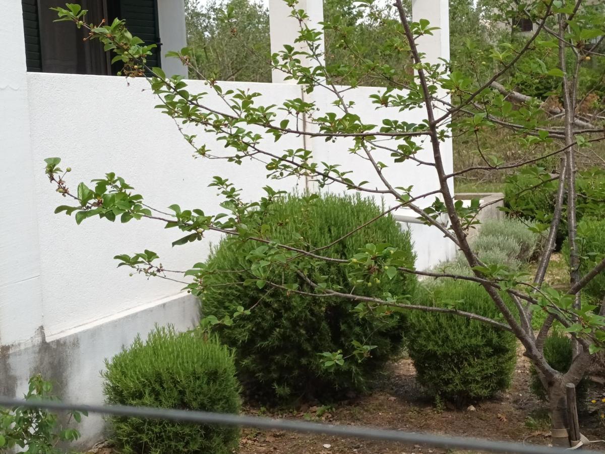 Kuca Za Odmor Maka Villa Kucice Exterior photo